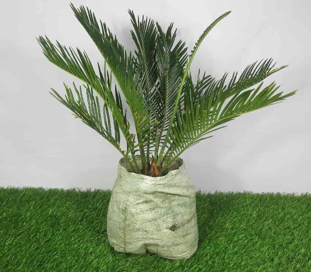 Product Details